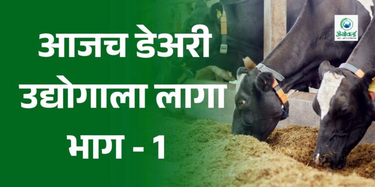 डेअरी उद्योगाला लागा