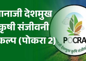 नानाजी देशमुख कृषी संजीवनी प्रकल्प