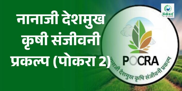 नानाजी देशमुख कृषी संजीवनी प्रकल्प