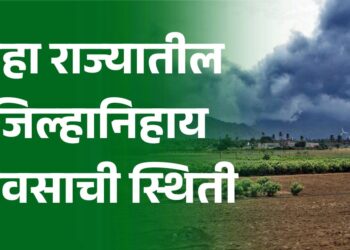 पहा राज्यातील जिल्हानिहाय पावसाची स्थिती