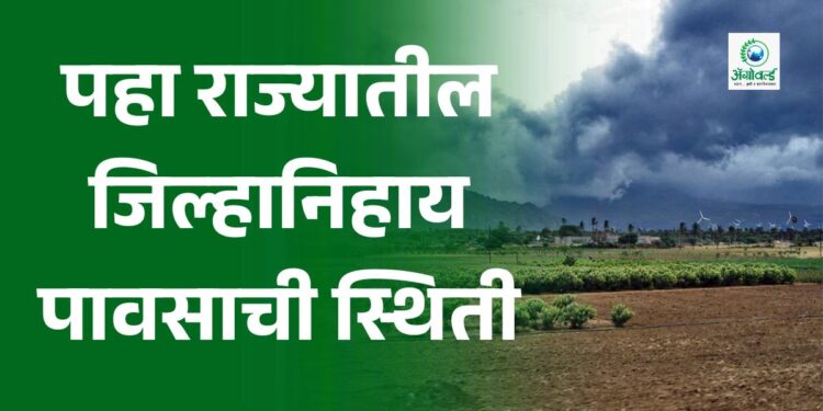 पहा राज्यातील जिल्हानिहाय पावसाची स्थिती