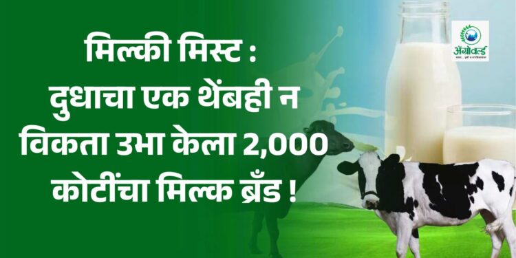 मिल्की मिस्ट : दुधाचा एक थेंबही न विकता उभा केला 2,000 कोटींचा मिल्क ब्रँड !