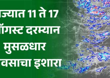 राज्यात 11 ते 17 ऑगस्ट दरम्यान मुसळधार पावसाचा इशारा !