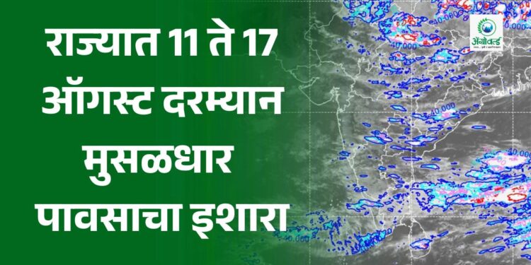 राज्यात 11 ते 17 ऑगस्ट दरम्यान मुसळधार पावसाचा इशारा !
