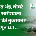 राज्यात थंड