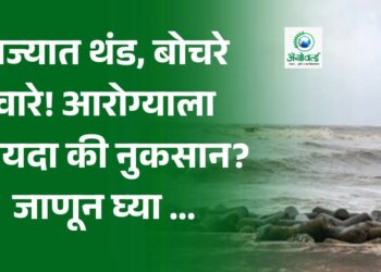 राज्यात थंड