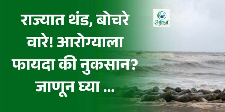 राज्यात थंड