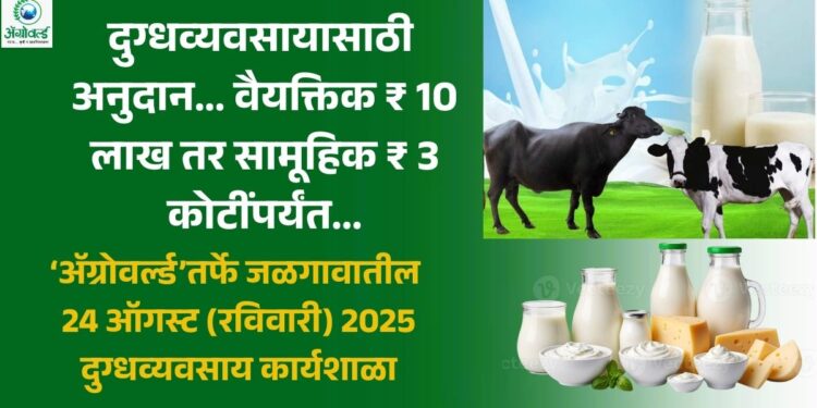 दुग्धव्यवसायासाठी अनुदान