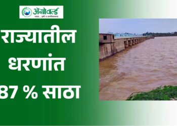 राज्यातील धरणांत 87 टक्के साठा
