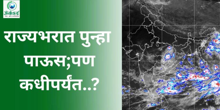 राज्यभरातील पावसाचा जोर पुन्हा वाढण्याची शक्यता; बंगालच्या उपसागरात सलग दोन कमी दाब प्रणाली