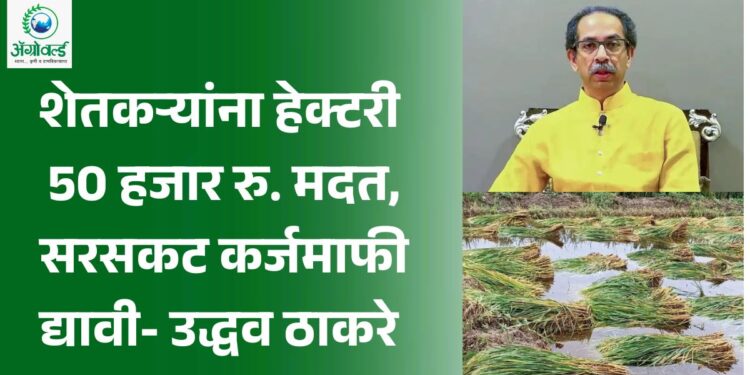 शेतकऱ्यांना हेक्टरी 50 हजार रुपये मदत, सरसकट कर्जमाफी द्यावी!