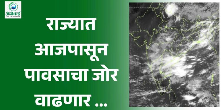 राज्यात आजपासून पावसाचा जोर वाढणार