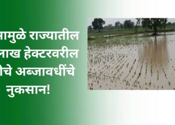 शेतीचे अब्जावधींचे नुकसान