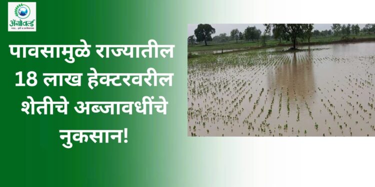 शेतीचे अब्जावधींचे नुकसान