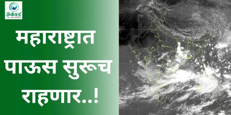 महाराष्ट्रात पाऊस