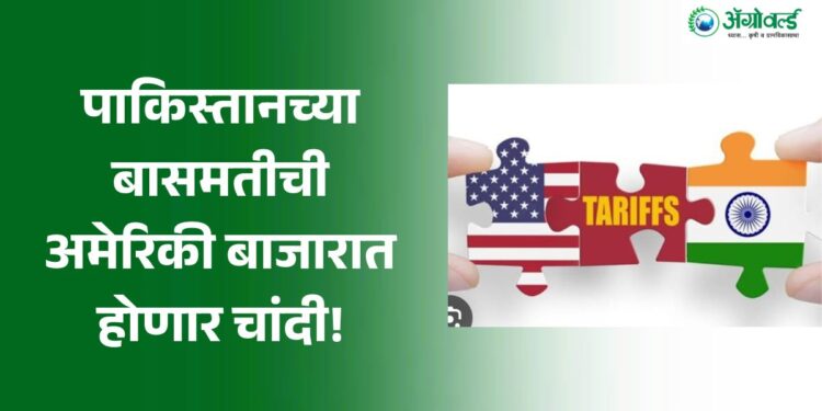 भारतीय बासमतीवर 50% टेरिफ