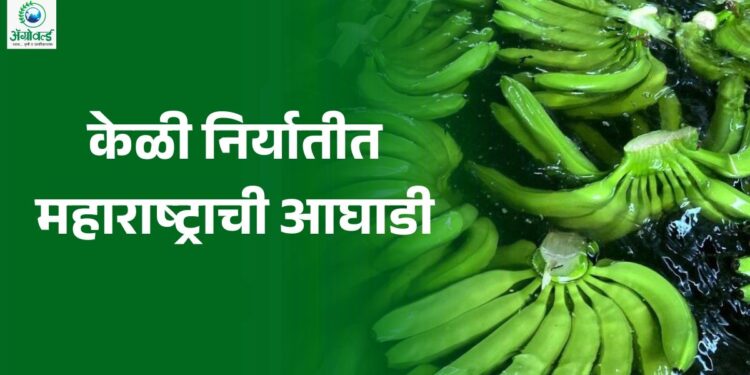 भारताची केळी निर्यात