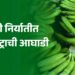भारताची केळी निर्यात