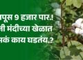 कापूस