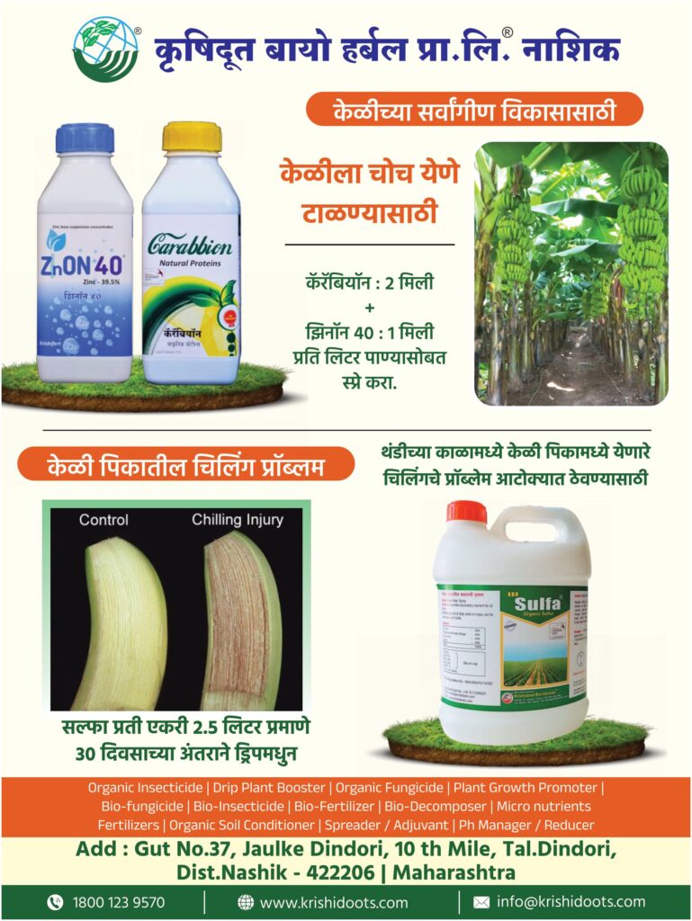 ऑक्टोबर हीटपासून दिलासा.?