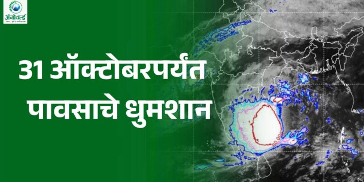 नोव्हेंबरपासून राज्यात हवामान कोरडे