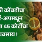 गावठी कोंबडीचा स्टार्ट-अप