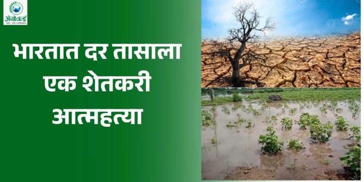 भारतात दर तासाला एक शेतकरी आत्महत्या; केंद्राच्याच अहवालातूनच धक्कादायक वास्तव समोर; महाराष्ट्रात सर्वाधिक आत्महत्या