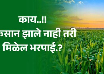 पिकाचे नुकसान झाले नाही तरी मिळेल भरपाई?