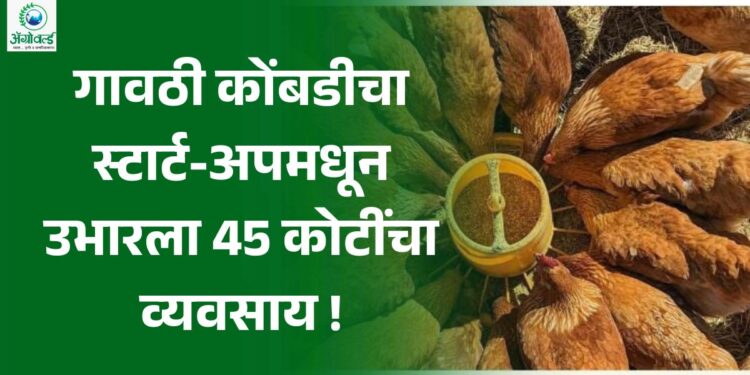 गावठी कोंबडीचा स्टार्ट-अप