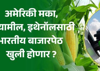 भारतीय बाजारपेठ