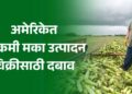 अमेरिकेत विक्रमी मका उत्पादन