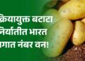प्रक्रियायुक्त बटाटा निर्यातीत भारत जगात नंबर वन!