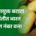 प्रक्रियायुक्त बटाटा निर्यातीत भारत जगात नंबर वन!