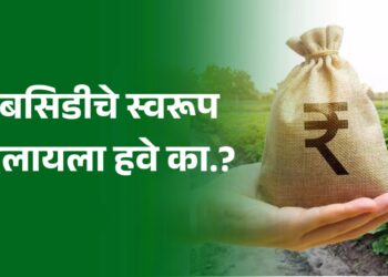 शेतकऱ्यांना सबसिडी हवीच; पण त्याचे स्वरूप बदलायला हवे का?