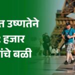 हवामान दुष्चक्र