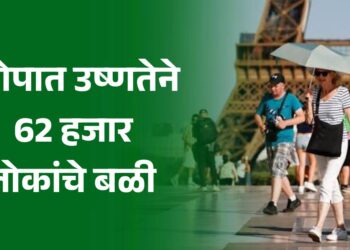 हवामान दुष्चक्र