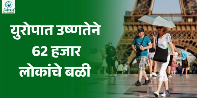 हवामान दुष्चक्र