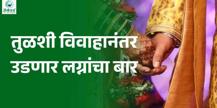 लग्नसराईचे वेध: तुळशी विवाहानंतर उडणार लग्नांचा बार, 18 नोव्हेंबरपासून घुमणार सनई-चौघड्याचे सूर!