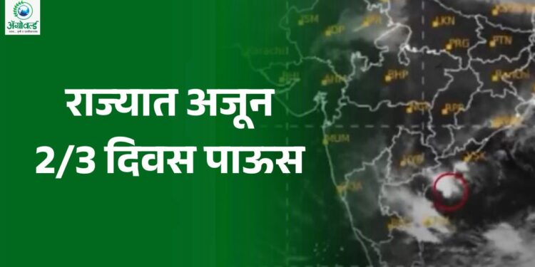 राज्यात आणखी 2-3 दिवस पाऊस
