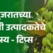 गुजरातच्या विक्रमी केळी उत्पादकतेचे रहस्य