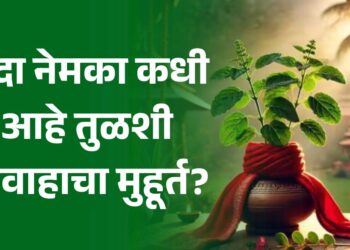 यंदा नेमका कधी आहे तुळशी विवाहाचा मुहूर्त? जाणून घ्या नेमकी तिथी अन शुभ वेळ..