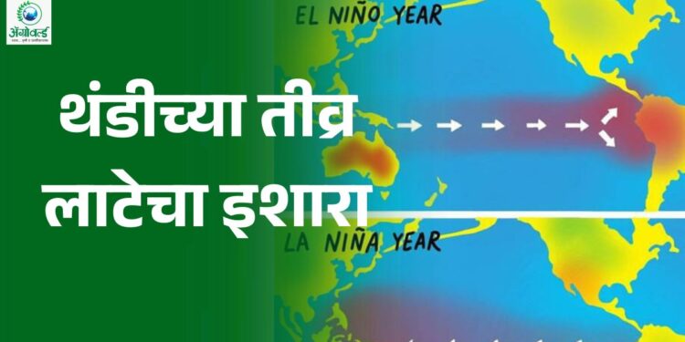 थंडीच्या तीव्र लाटेचा इशारा