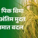 पीक विमा