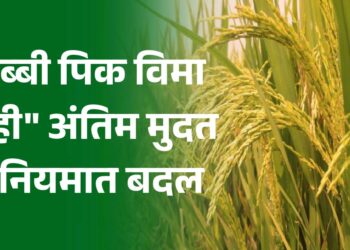 पीक विमा