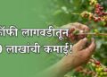 कॉफीची लागवड
