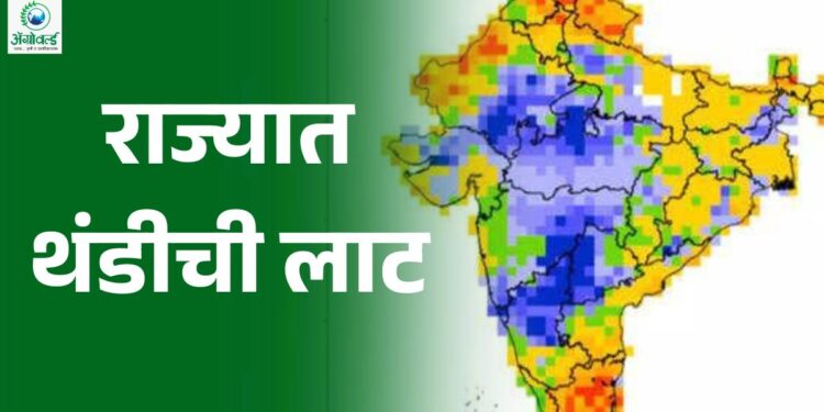 राज्यात थंडीची लाट
