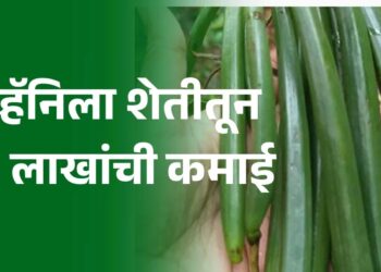 व्हॅनिला शेती