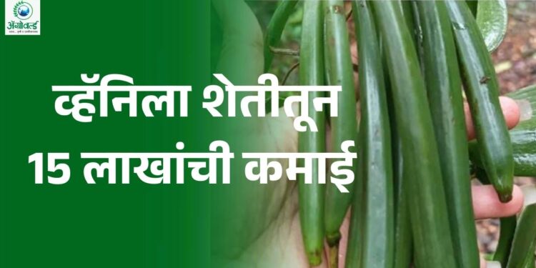 व्हॅनिला शेती