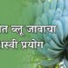 सांगलीत ब्लू जावा केळीचा यशस्वी प्रयोग