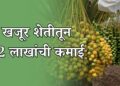 सेंद्रिय खजूर शेतीतून एकरी 12 लाखांचा नफा